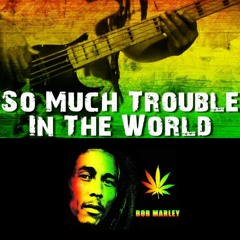 So Much Trouble In Da World -Bob Marley Dj Rdb Remix