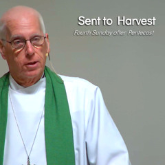 Sent to Harvest - Jul 6 - Fourth Sunday after Pentecost