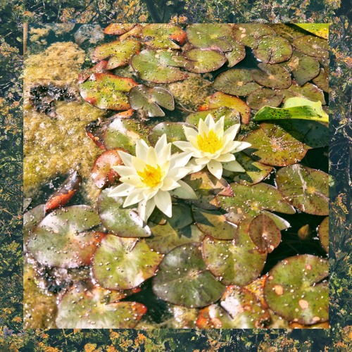 Tohaj - Still There