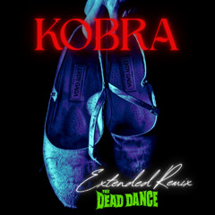 Lady Gaga - The Dead Dance [KOBRA Extended Remix]