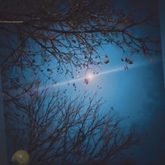 Ayden Parkinzon -Algun Tiempo nos veremos