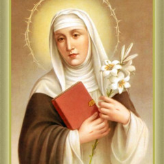 streaming Saint Catherine VOSTFR HD