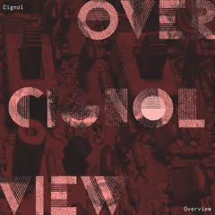 PREMIERE: Cignol - Overview [Nocta Numerica Records]