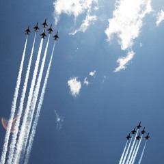 Ren - Animal Flow (JSM Remix)