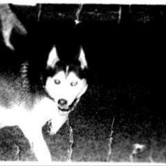 pressure w/ 22juggn + weskoa