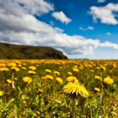 Sumarið Er Komið (Mix 3)