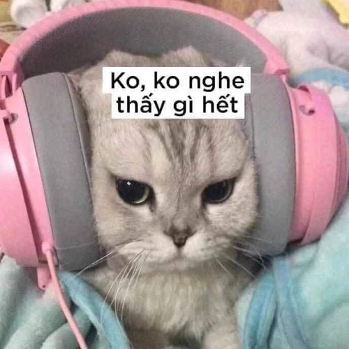 Nhạc go~