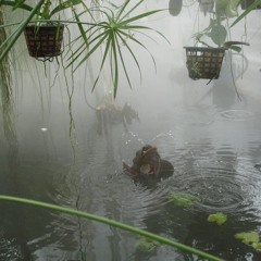 захилит [lunico]