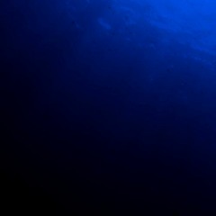 The Undercurrent