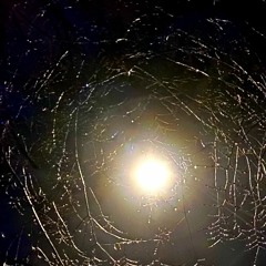 moth in the flame_20231129