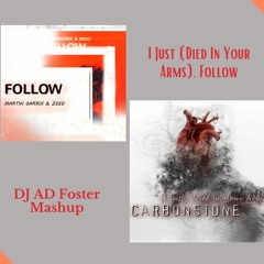 Carbonstone Vs Martin Garrix/Zedd I Just Died In Your Arms, Follow (DJ AD Foster Mashup)