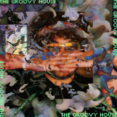 The Groovy House