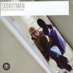 Skinnyman - Council Estate of Mind