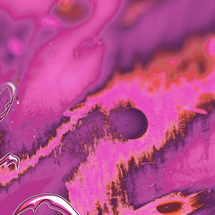 i dont understand this form 2024-12-17 1205