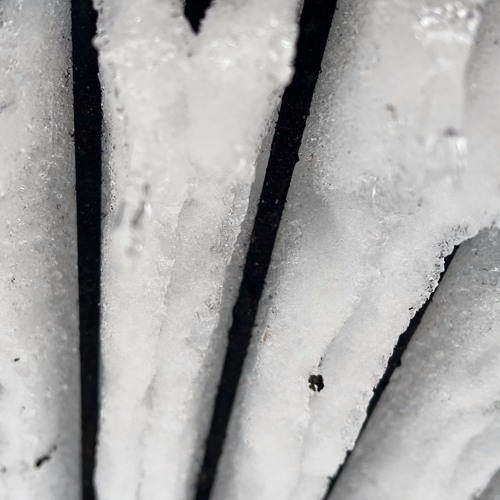 BALTIC FROST