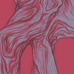 PHAZOOKA BAZZDRUMZ [bass music 02|24]