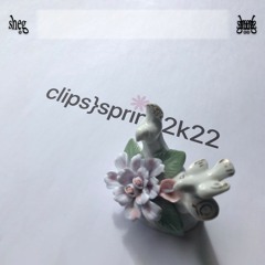 clips Spring2k22 ✧