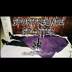 HÖRSCHADEN und iNFARKkT sind : "Sportfreunde Splitter"
