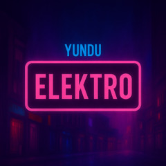 PREMIERE: YUNDU - Elektro (Original Mix) [DistroKid]