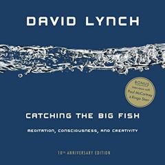 [Get] EPUB 📬 Catching the Big Fish: Meditation, Consciousness, and Creativity: 10th