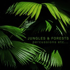 Percussions