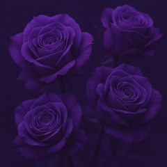 Stop Playin' w/ Warda