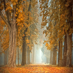 Tiefenentspannt - Herbst