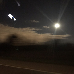 dontmakemefallinlove