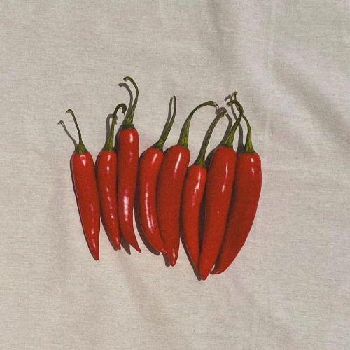 Vol 4. : ecos del perreo