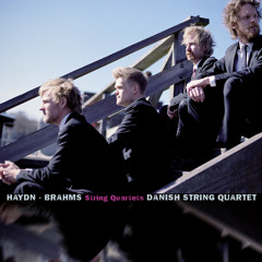 String Quartet No. 2 in A Minor, Op. 51 No. 2: I. Allegro non troppo