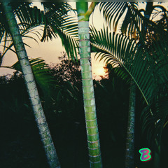 I'm A Video (She's So Tropical)