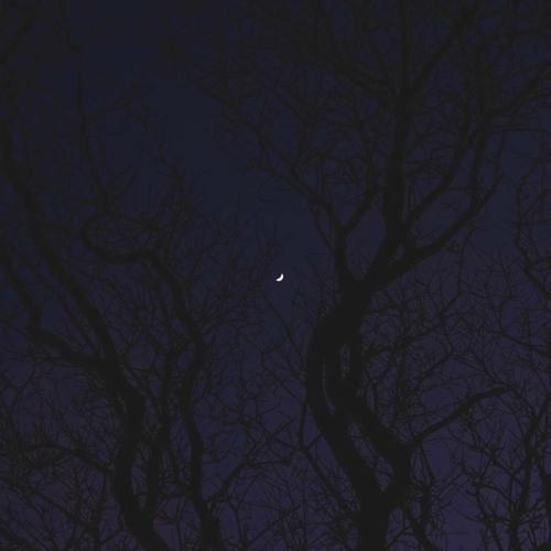 dontworryeverythingsruinedgotosleepsoicankillmyself ~ "broken"