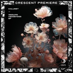 PREMIERE: Kalumet - Chao Praya Blues [FS010]