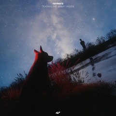 TOYMATZ - Tearing Me Apart Inside