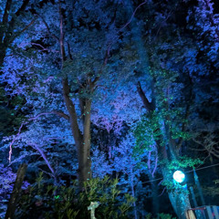 N•A•T•I @ MiniMoyn 2025