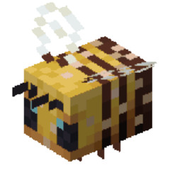 Doughnut on the internet