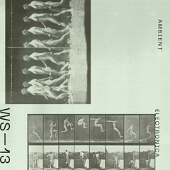 WS13 - Ambient Electronica
