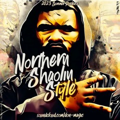 DME - Norther Shaolin Style