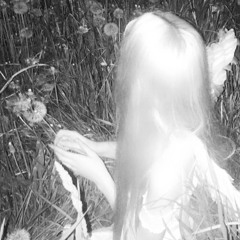 limpin prod 1xgladiator