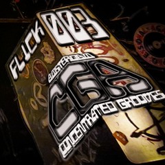 CGA Showcase 003 - Flick