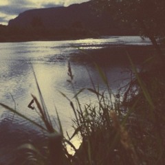 interested in madness