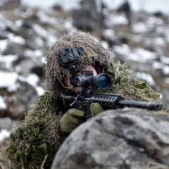 Tallis - hidden in the scope (ReMix)