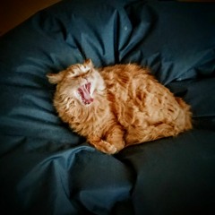 i'm breaking up with 2020