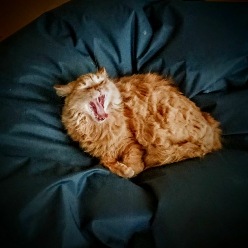 i'm breaking up with 2020