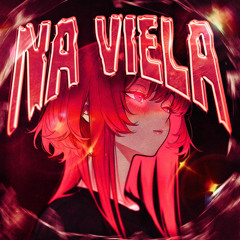 NA VIELA (Slowed)