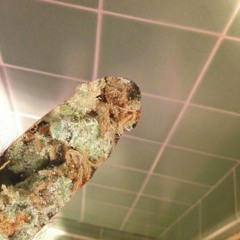 Tell Me What To Swallow