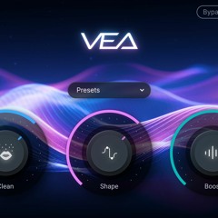 VEA - 車の中で録音したケース