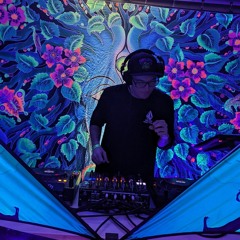 Dancefestopia Yellow Brick Road tour 2024 Submission Mix"