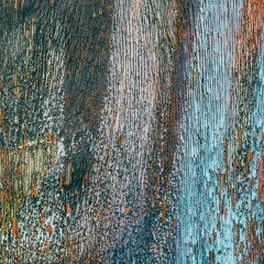 I. Vadak (Wild Animals)