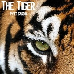Pytt Gardin - The Tiger (original Mix)